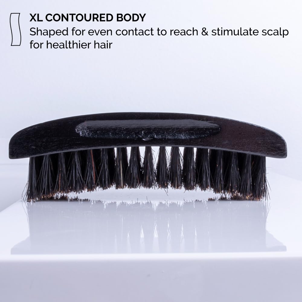 ZEUS Premium Hair Brush, Men's Grooming Beard & Hair Brush, Beech Wood & 100% Boar Bristle (Palm Brush)