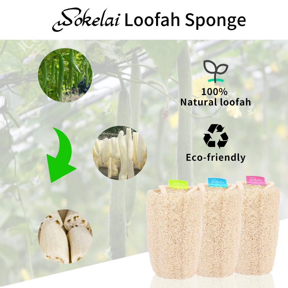 Natural Loofah Sponge - Exfoliating Body Scrubber for Shower Scrubbing, Organic Luffa Sponges, Egyptian Real Loofa, Bath Shower Puff for Bathing, Spa