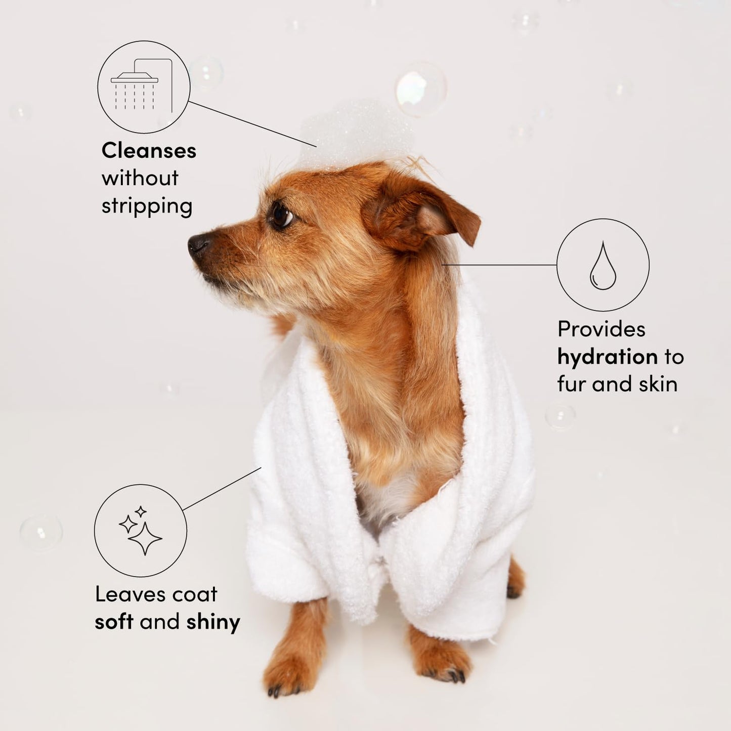 OUAI Fur Bébé Pet Shampoo Mercer Street Scent - Hydrating, Cleansing Dog Shampoo & Coat Wash for Shine - Pet Supplies by OUAI, 16 Fl Oz