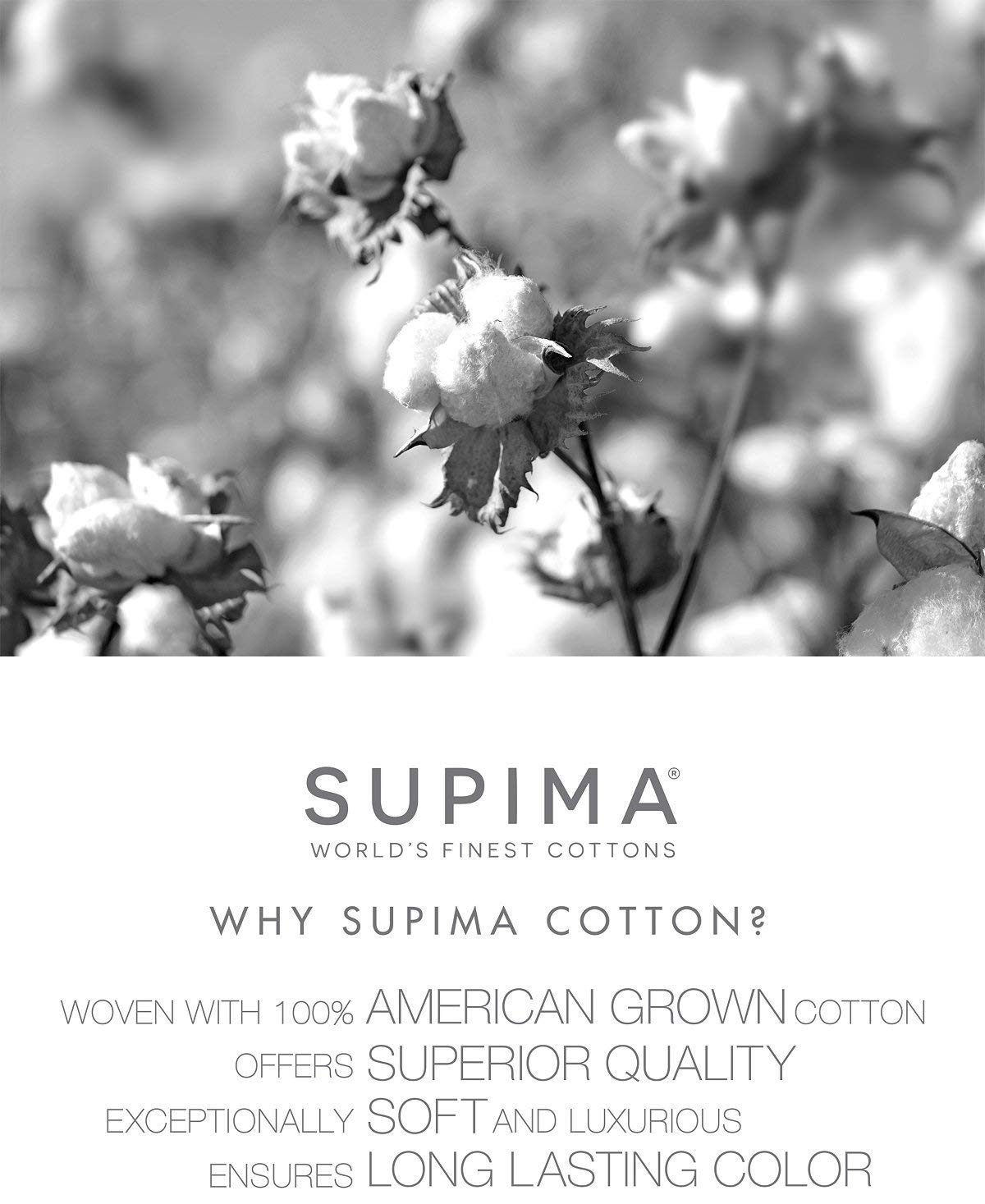 Charter Club Damask Stripe Queen 4-Pc Sheet Set, 550 Thread Count 100% Supima Cotton Glacier (Light Green)