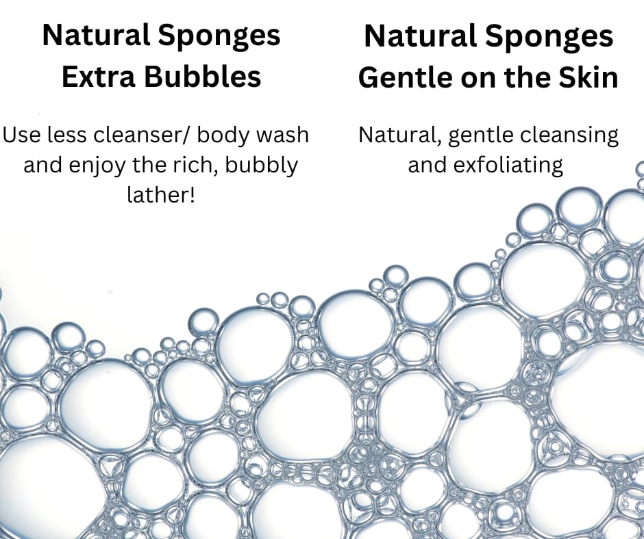 Natural Sea Wool Sponge Bath & Shower Express 4-5" (Small) Authentic Renewable Resource for Women & Men Esponja for Exfoliating and Washing Body