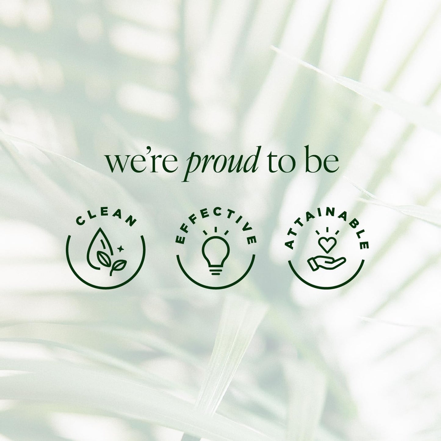 Tree of Life Beauty Ultimate Skin Care Set, Brightening, Firming, Hydrating, Moisturizing, Brightening, Complete Face Care Regimen - Total Vitamin C