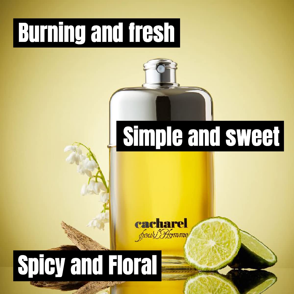 Cacharel Pour L'Homme Eau de Toilette Cologne for Men, Woody, Spicy and Floral Fragrance, Notes of Bergamot, Lily of the Valley Accord and Cedar Wood