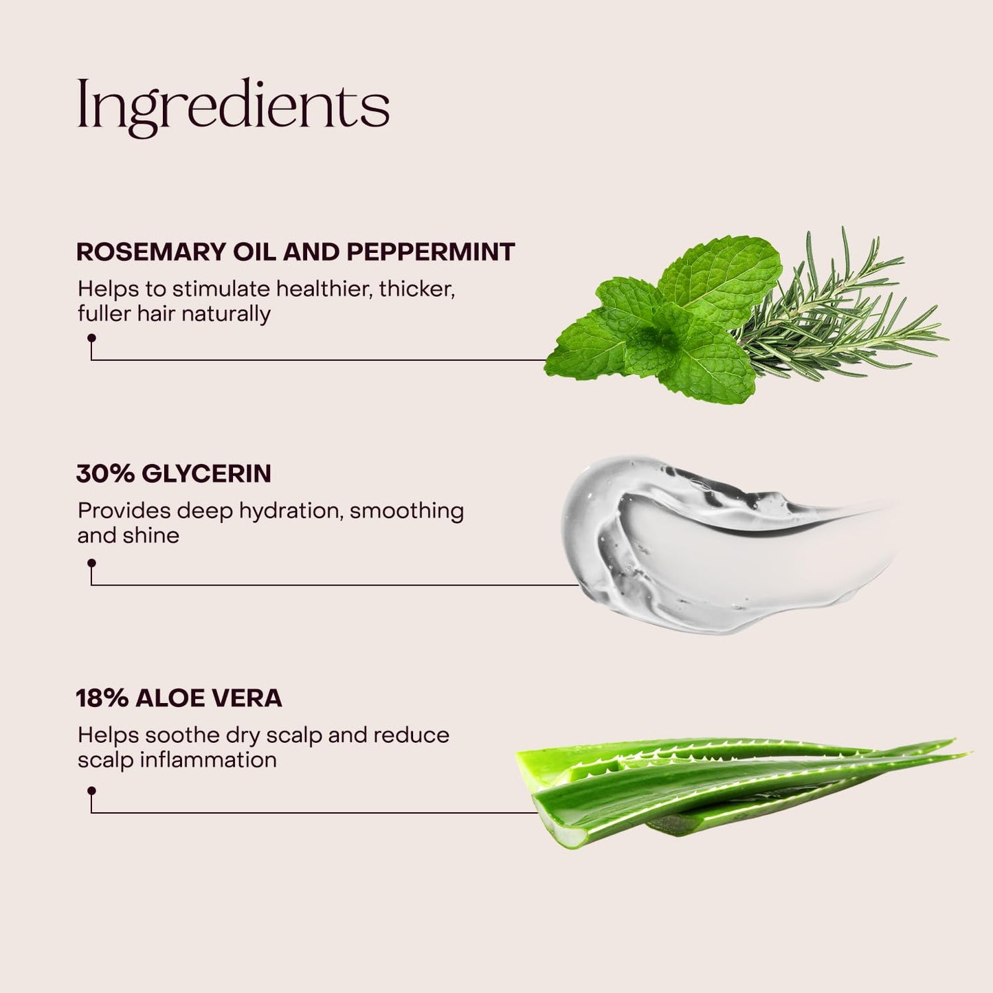Everist The Haircare Essentials Duo, Shampoo & Deep Conditioner, Repairs Hair, Ideal for Sensitive Scalp, Hydrating and Smoothing, Plant-based