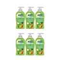 Softsoap Antibacterial Liquid Hand Soap Pump, Sparkling Pear Scent, Gentle Clean Formula, 11.25 fl oz (Pack of 6)