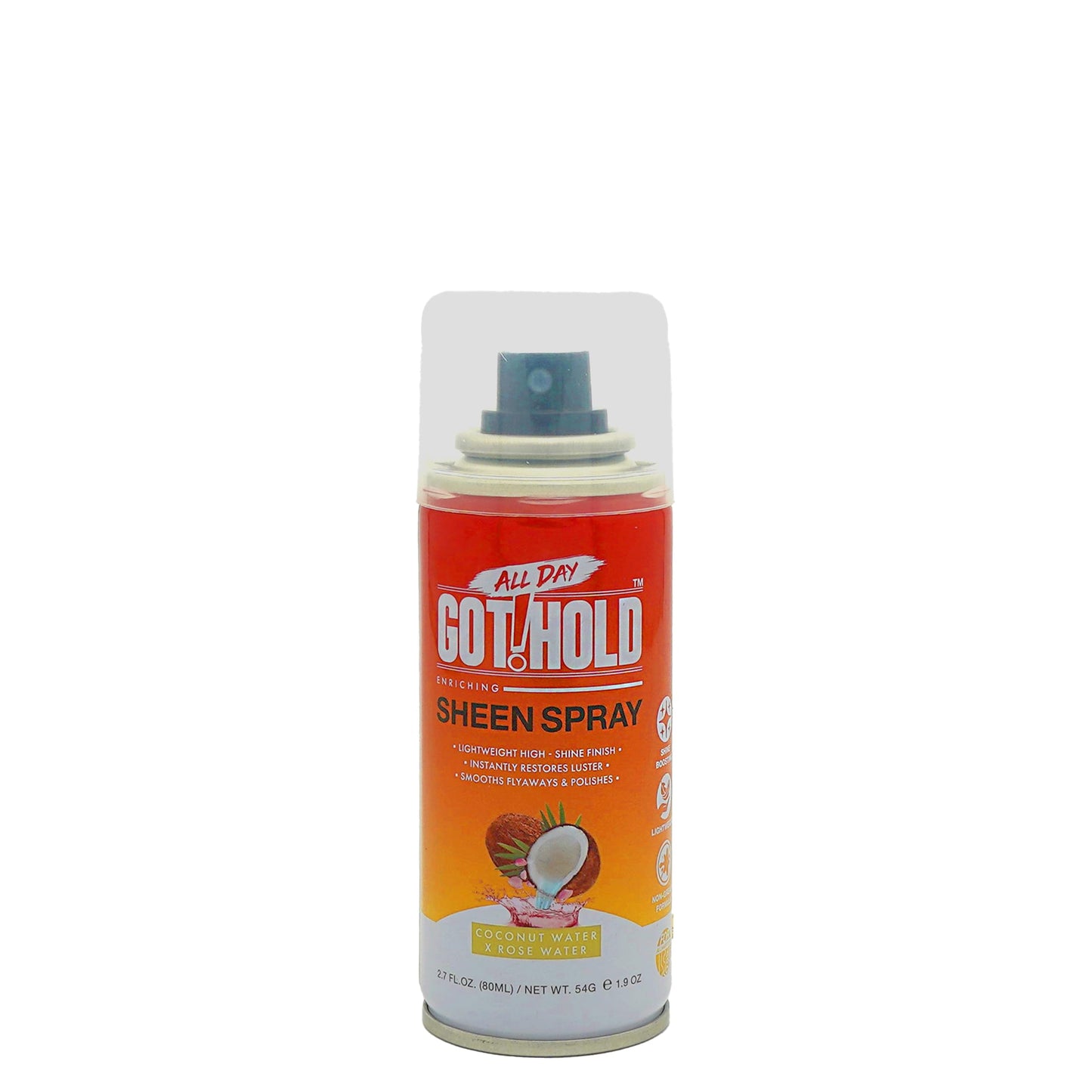 ALL DAY GOT HOLD Hair Styling Sheen Spray 2.7 fl.oz/80ml