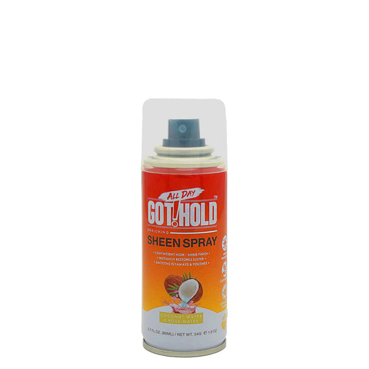 ALL DAY GOT HOLD Hair Styling Sheen Spray 2.7 fl.oz/80ml