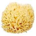 HartFelt Delicate Skin Wool Sea Sponge 4 in | Real Natural Sponges for Body and Face Gentle Care | Luxurious Lather