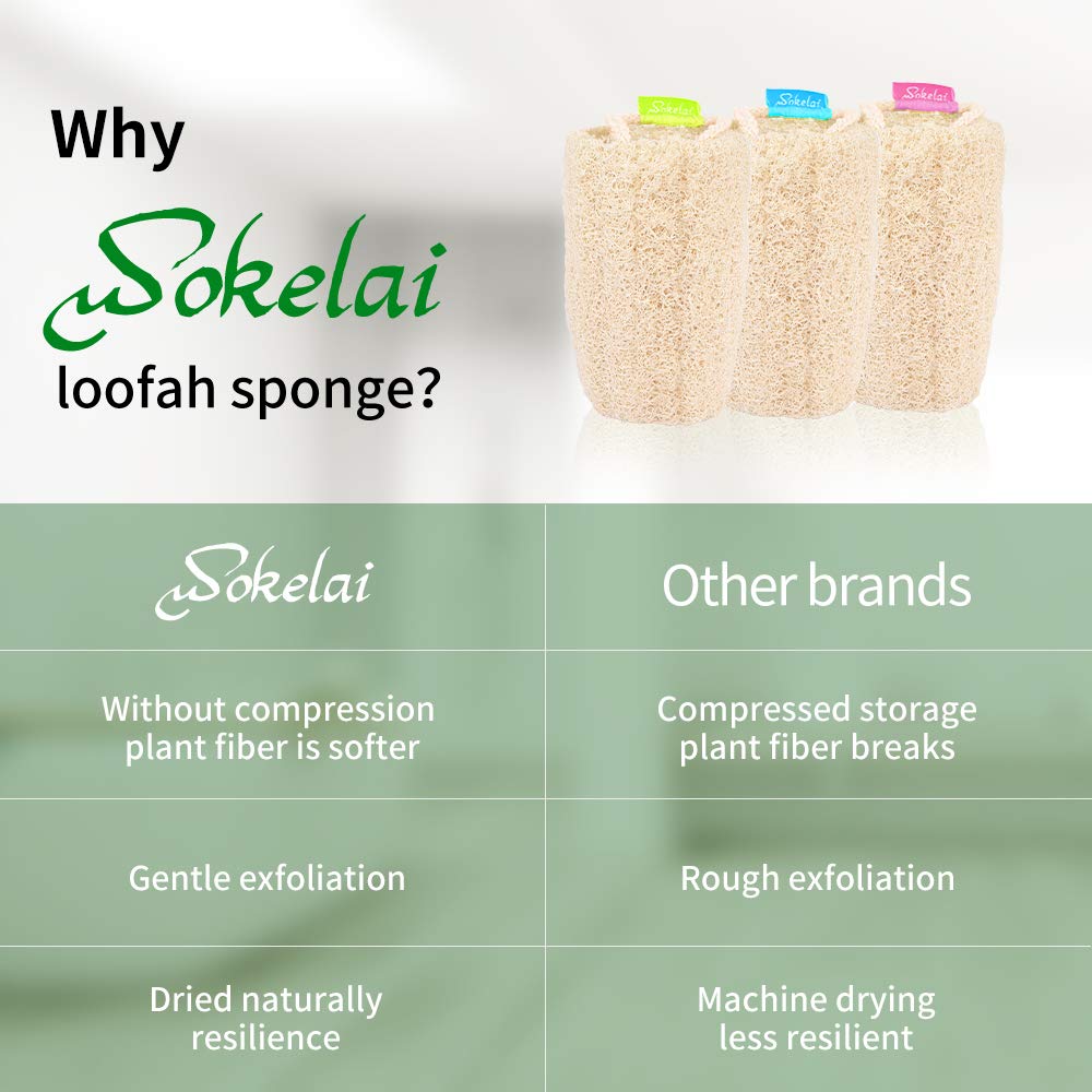 Natural Loofah Sponge - Exfoliating Body Scrubber for Shower Scrubbing, Organic Luffa Sponges, Egyptian Real Loofa, Bath Shower Puff for Bathing, Spa