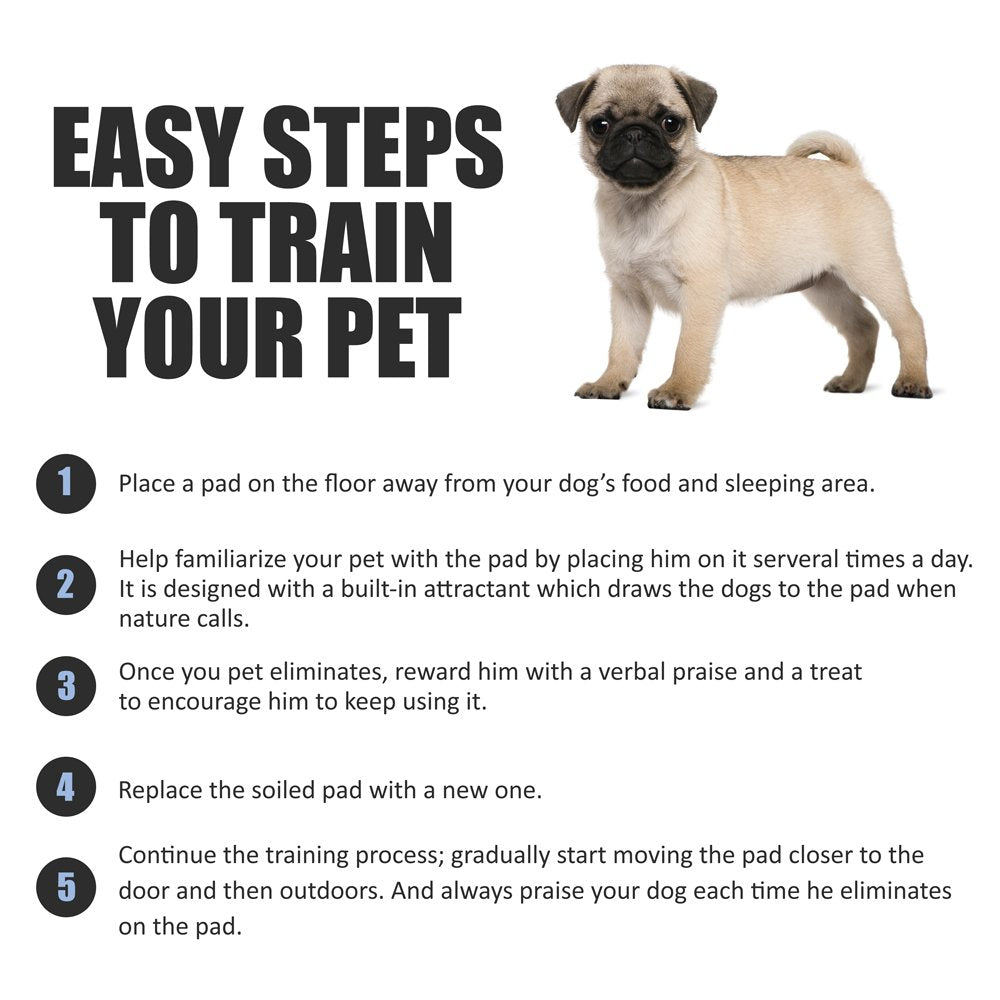 BV Puppy Pads 100 Ct 22"x22" – Leak-Proof, 6-Layer Absorbent Pee Pads with Odor Control for Puppies & Senior Dogs