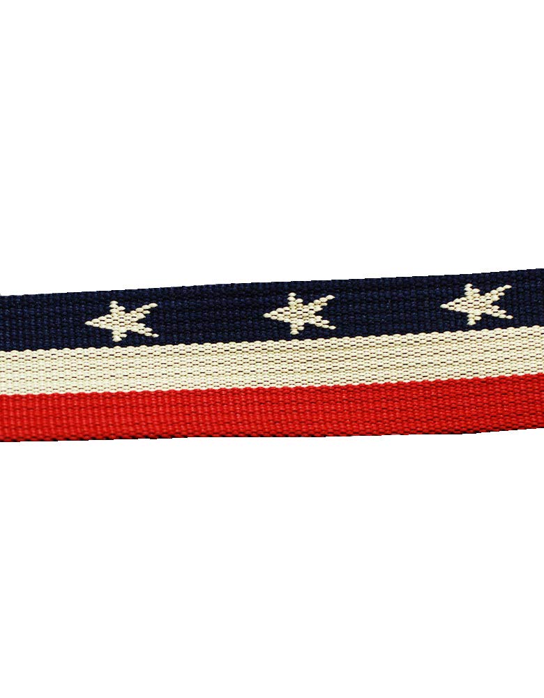 American Flag Print Belt USA Belts For Women D Ring Canvas Web Belts (American Flag)
