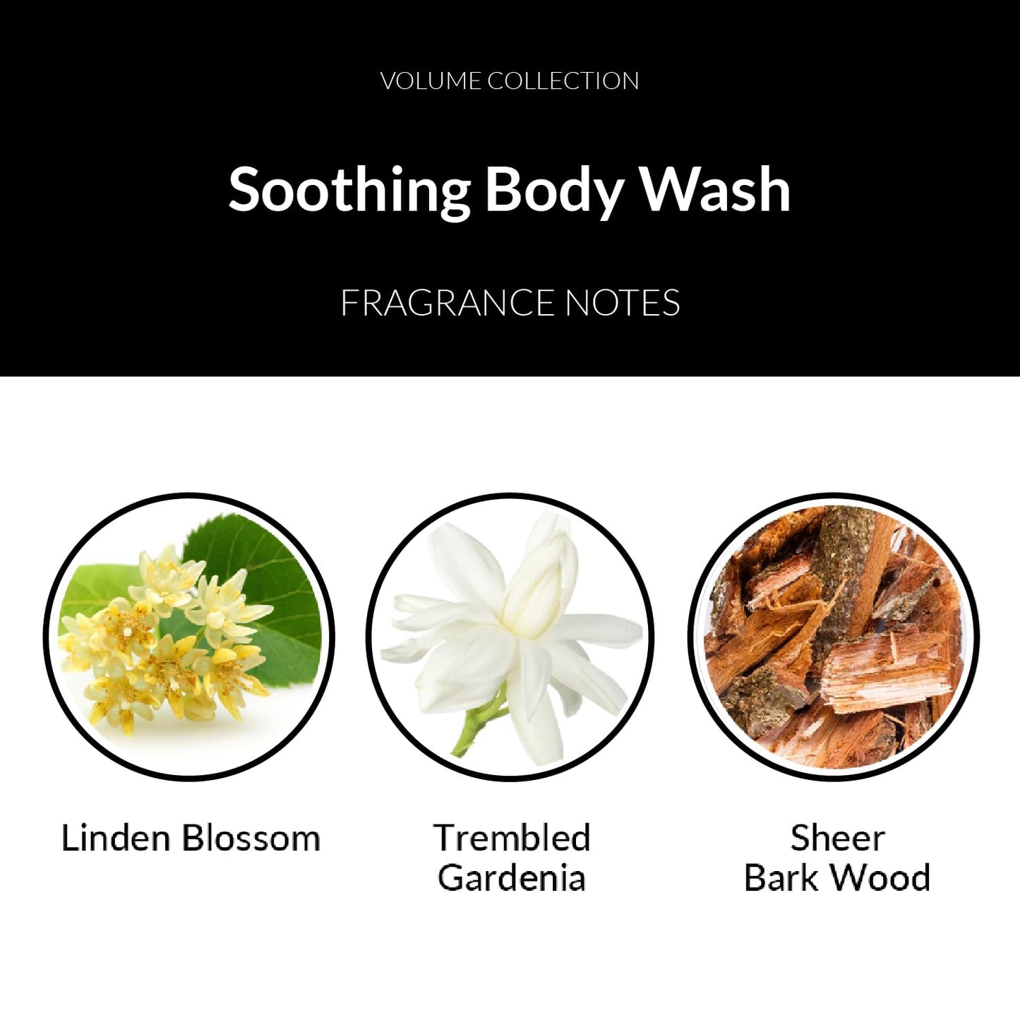 Number 4 Fleurs de Temps Soothing Body Wash. Moisturizing Body Wash with Vitamin E and Oat Extract, 16.9 oz Beauty & Personal Care Number 4