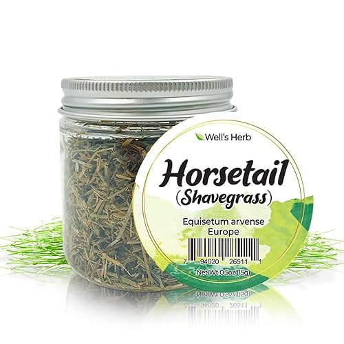 Well's Herb Dried Horsetail | 0.5 oz. | 100% Natural | Herbal Hair & Skin Oil Ingredient | DIY Beauty Essential