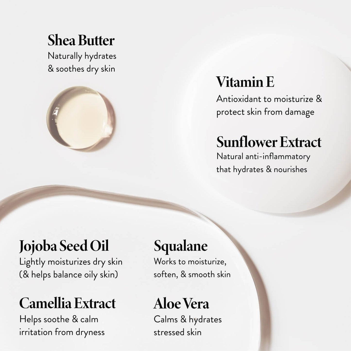 LAURA GELLER NEW YORK Spackle Primer - Hydrate - Super-Size 2 Fl Oz - Hyaluronic Acid Makeup Primer for Mature Skin Beauty and Personal Care LAURA GELLER NEW YORK