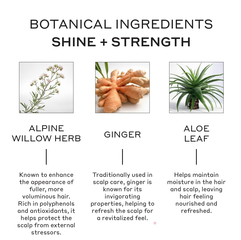 ZENAGEN Evolve Repair + Protect Nourishing Conditioner (Unisex) | Hydrates & Repairs Damaged Hair, Promotes Thicker Fuller Hair, Plant-Based