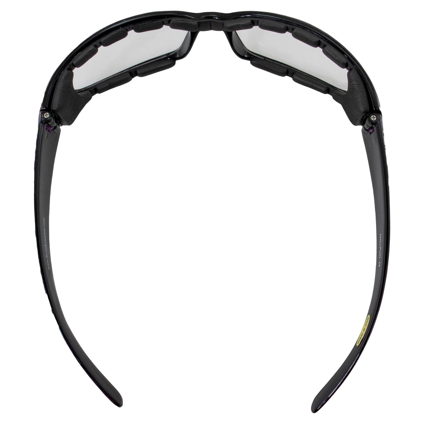 Birdz Eyewear Chill Women's Motorcycle Sunglasses Padded Purple Frame with Clear Lenses