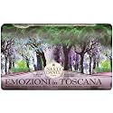 Nesti Dante Emozioni In Toscana Natural Soap - Enchanting Forest 250g/8.8oz