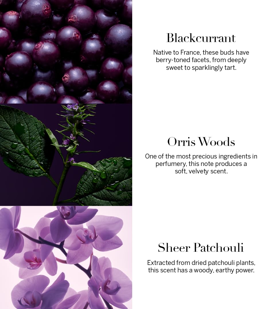 Victoria's Secret Very Sexy Orchid Eau de Parfum Rollerball, Notes of Blackcurrant, Orris Woods & Sheer Patchouli, Travel Size Mini Perfumes for Women