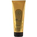 Bath and Body Works COCOSHEA Honey Moisturizing Body Wash 10 Fluid Ounce