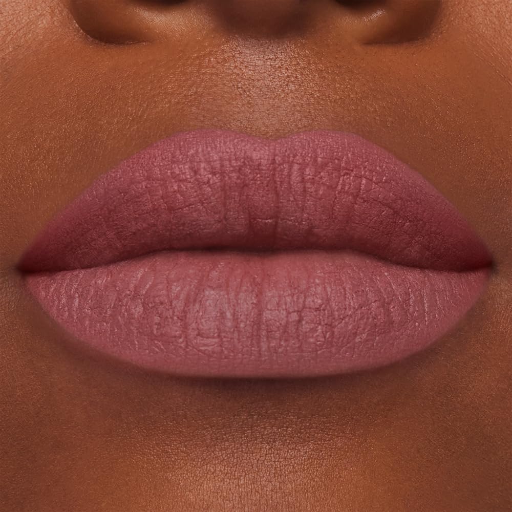 Estée Lauder Pure Color Long-Lasting Matte Lipstick for Women with Matte Finish | Plumping & Nourishing, 0.12 Ounce, 855 Risk It All