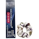 Koleston Xpress 10/-10/N Lightest Blonde/Neutral Permanent Hair Color | Koleston Express 10-Minute Gray Coverage and Goomee Scrunchie (Bundle) Beauty & Personal Care Goomee