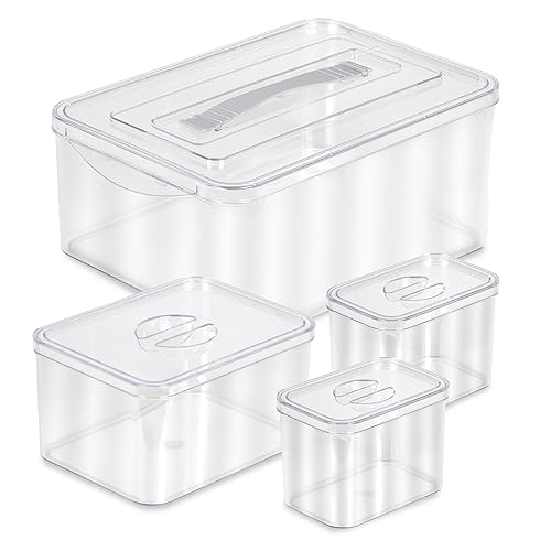 Richards Homewares Clear Plastic Storage Bins with Lids - 1 Large, 1 Medium and 2 Small Storage Containers for Closet Fridge Pantry Organizing