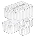 Richards Homewares Clear Plastic Storage Bins with Lids - 1 Large, 1 Medium and 2 Small Storage Containers for Closet Fridge Pantry Organizing