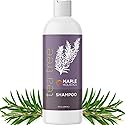Tea Tree Shampoo for Oily Hair - Paraben and Sulfate Free Clarifying Shampoo for Build Up and Dry Scalp with Tea Tree Oil for Hair - Purifying