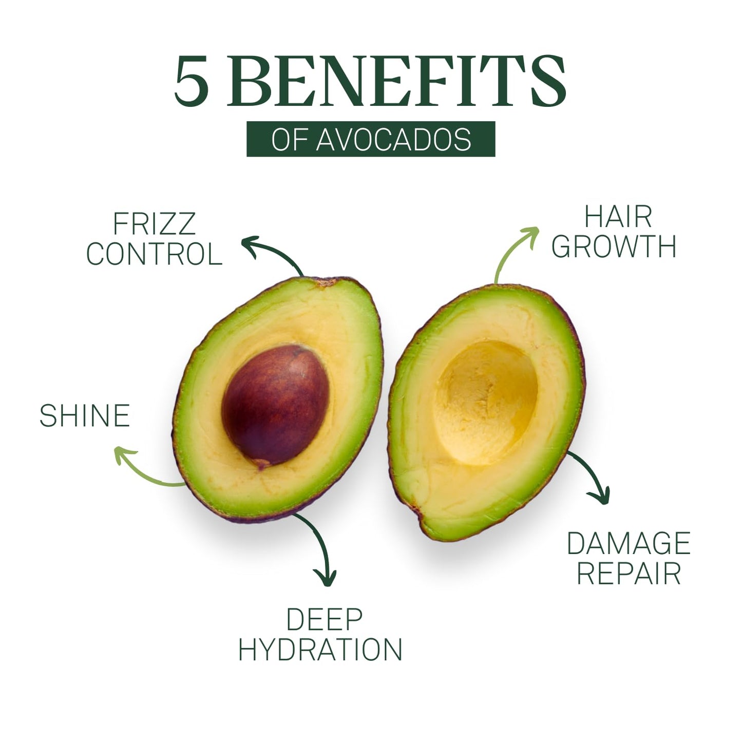 EVA + AVO Avocado Shampoo & Conditioner Travel Kit 2 fl oz, Sulfate-Free Gentle Cleanse for Dry Scalp, Fine, Curly, Damaged or Thin Hair, Hydrating