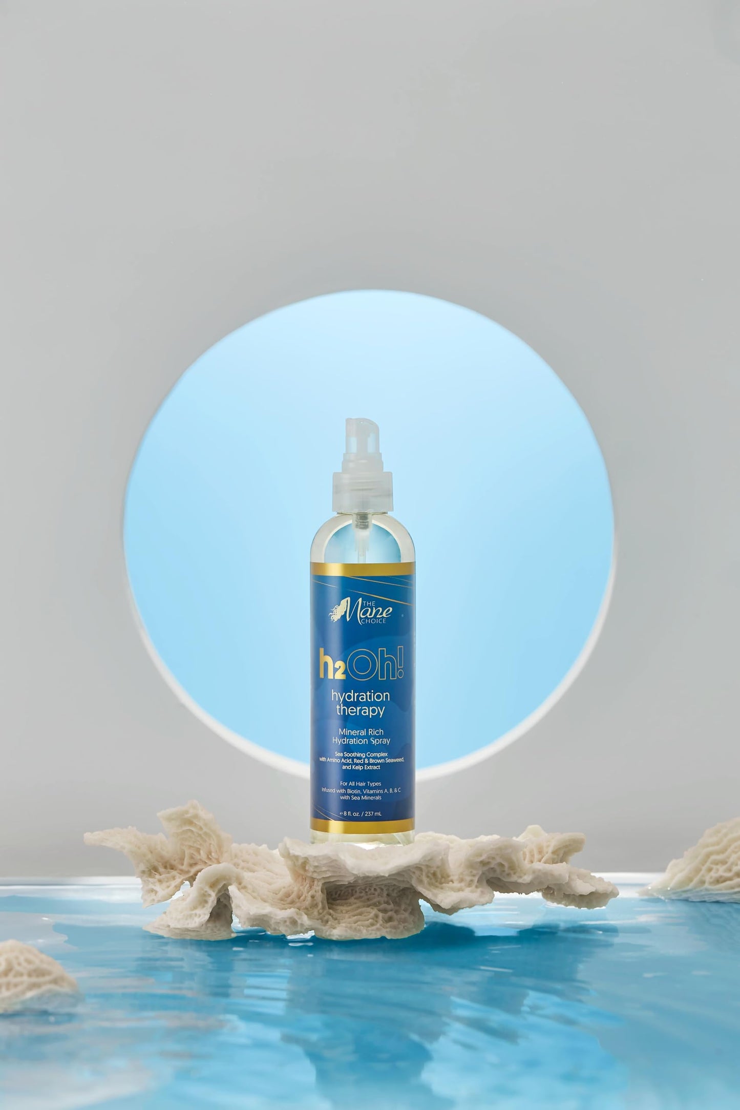 The Mane Choice H2Oh! Hydration Therapy Hydration Spray 8 Oz