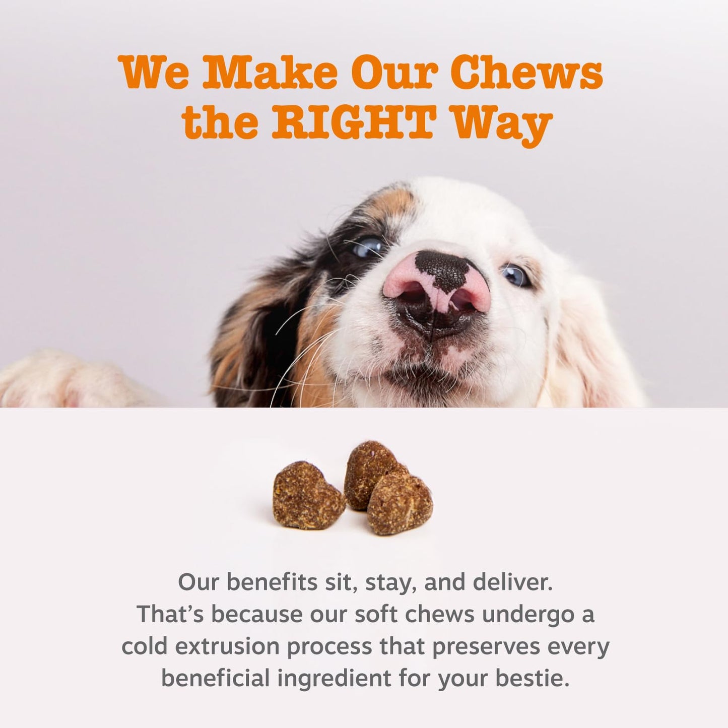 Zesty Paws Allergy Relief for Dogs – Itch, Skin & Ear Soothing Chews with Probiotics – Lamb Flavor – 90ct