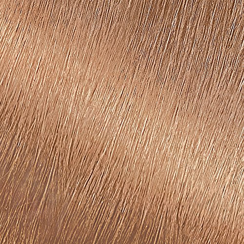 Garnier Nutrisse Nourishing Hair Color Creme, 80 Medium Natural Blonde (Butternut) (Packaging May Vary)