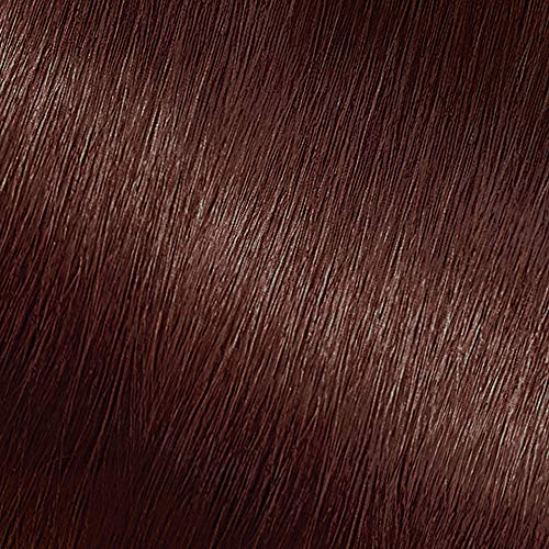 Garnier Hair Color Nutrisse Nourishing Creme, 415 Soft Mahogany Dark Brown (Raspberry Truffle), 2 Count
