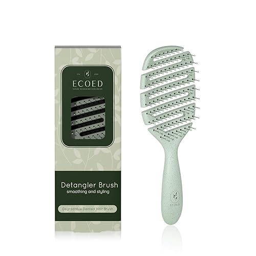 Ecoed Detangler Hairbrush, Soft Bristle Detangling Brush for Straight, Wavy, Curly and Fine Hair, Dry and Wet, Quick Smoothing for Women and Men