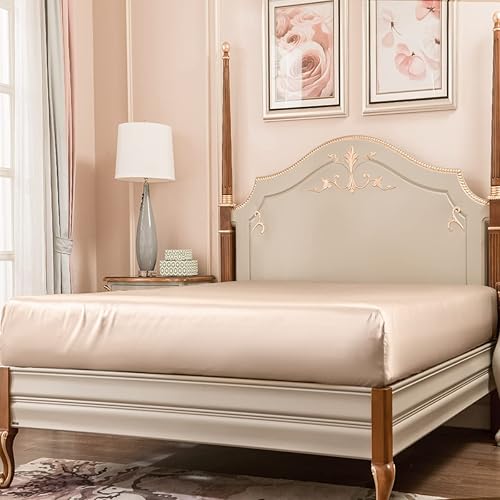 PROMEED 100% Mulberry Silk Queen Size Fitted Sheet ONLY, Premium 23 Momme Real Silk Bottom Bed Sheet 1pc with 16-Inch Deep Pocket (Champagne, Queen)