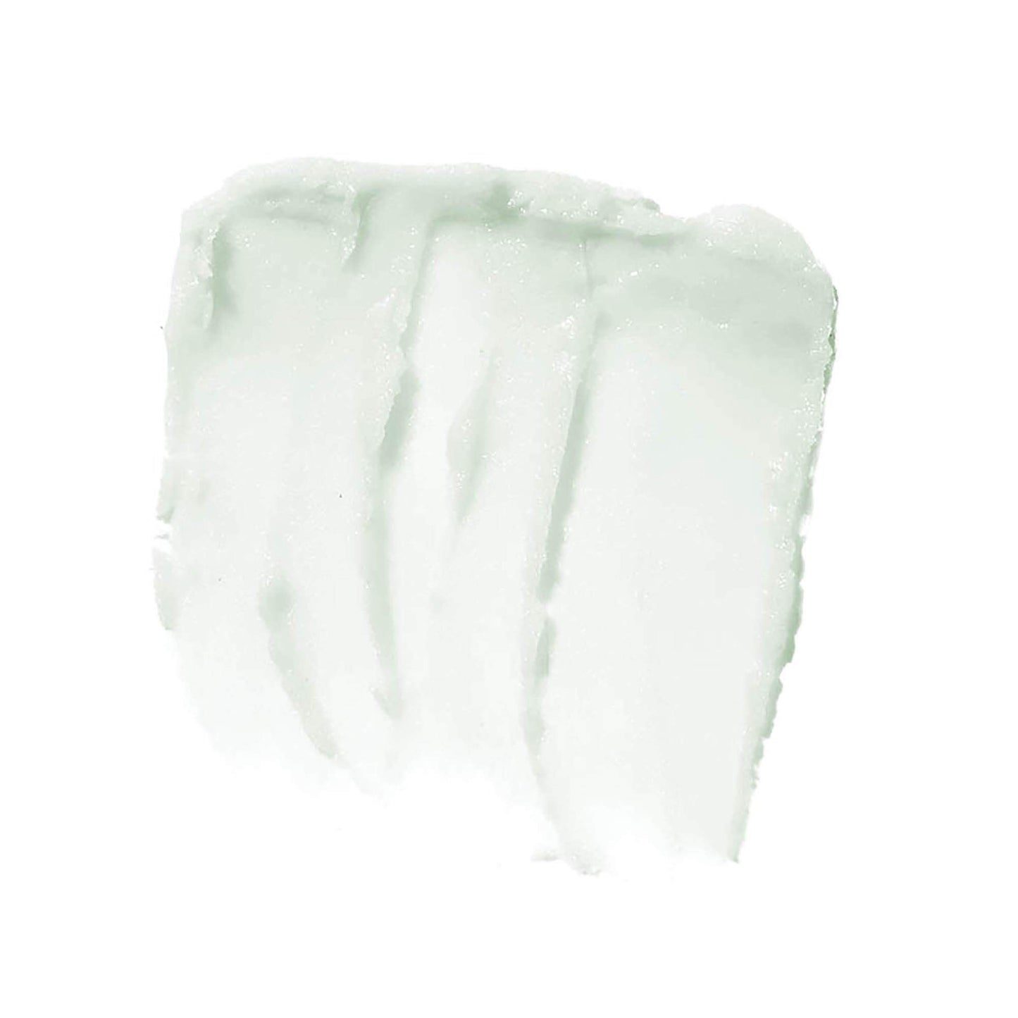 e.l.f. Lip Exfoliator Conditioning Formula, Mint Maniac, 0.11 Ounce (Pack of 1)