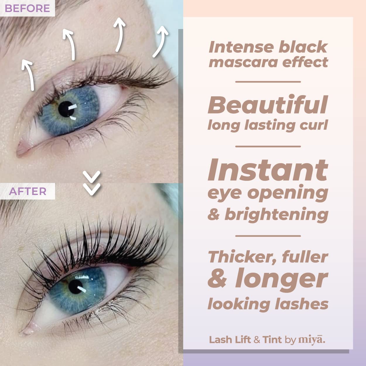 MIYA LASH Lift & Brow Lamination Kit | Black, Voluminous Eyebrows & Eyelashes Color | Professional 8 Weeks Result | LVL, Perm, Laminate | Keratin Brow