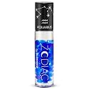 Blossom Lip Gloss Zodiac Sign Vanilla Scented Roll-On Lip Gloss, Moisturizing + Hydrating with Zodiac Crystals, Made in USA, 0.20oz, Aquarius