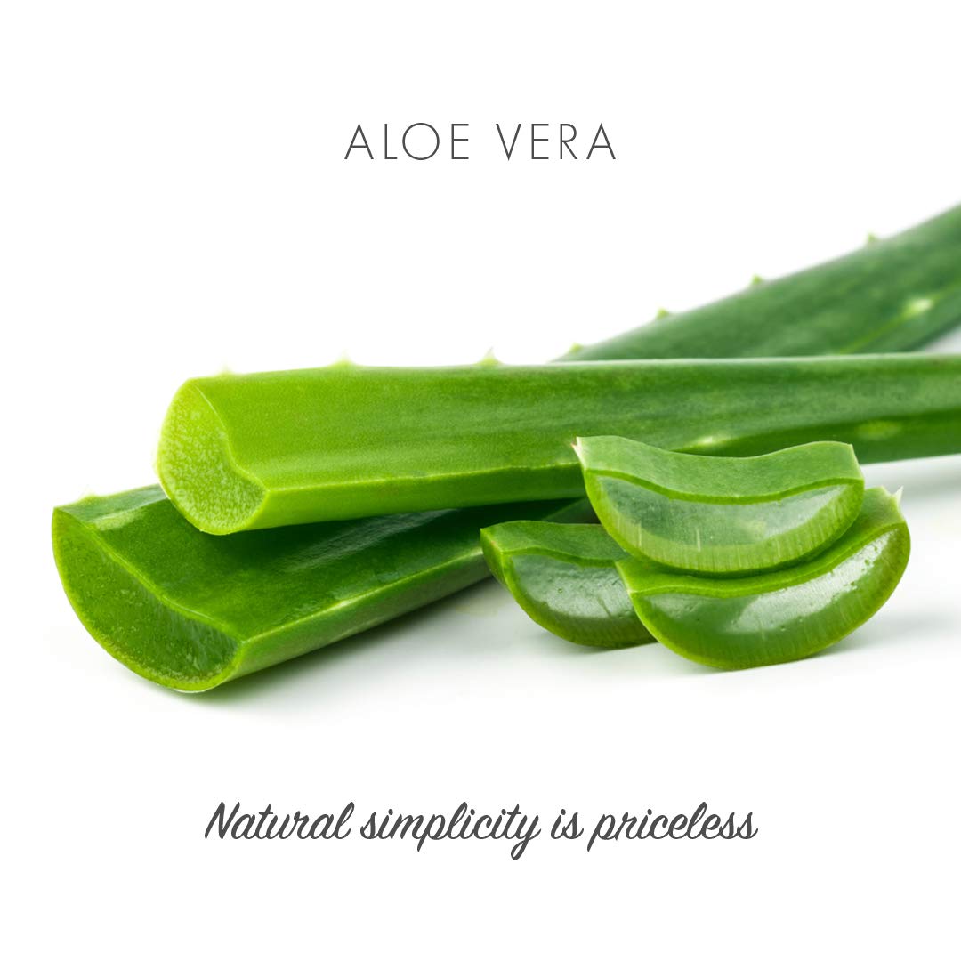 Friendly Soap Natural Handmade Aloe Vera Soap by Friendly Soap