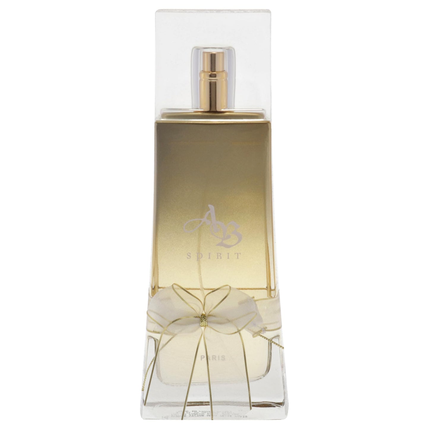 Lomani AB Spirit Eau De Parfum Spray for Women, 3.3 Ounce