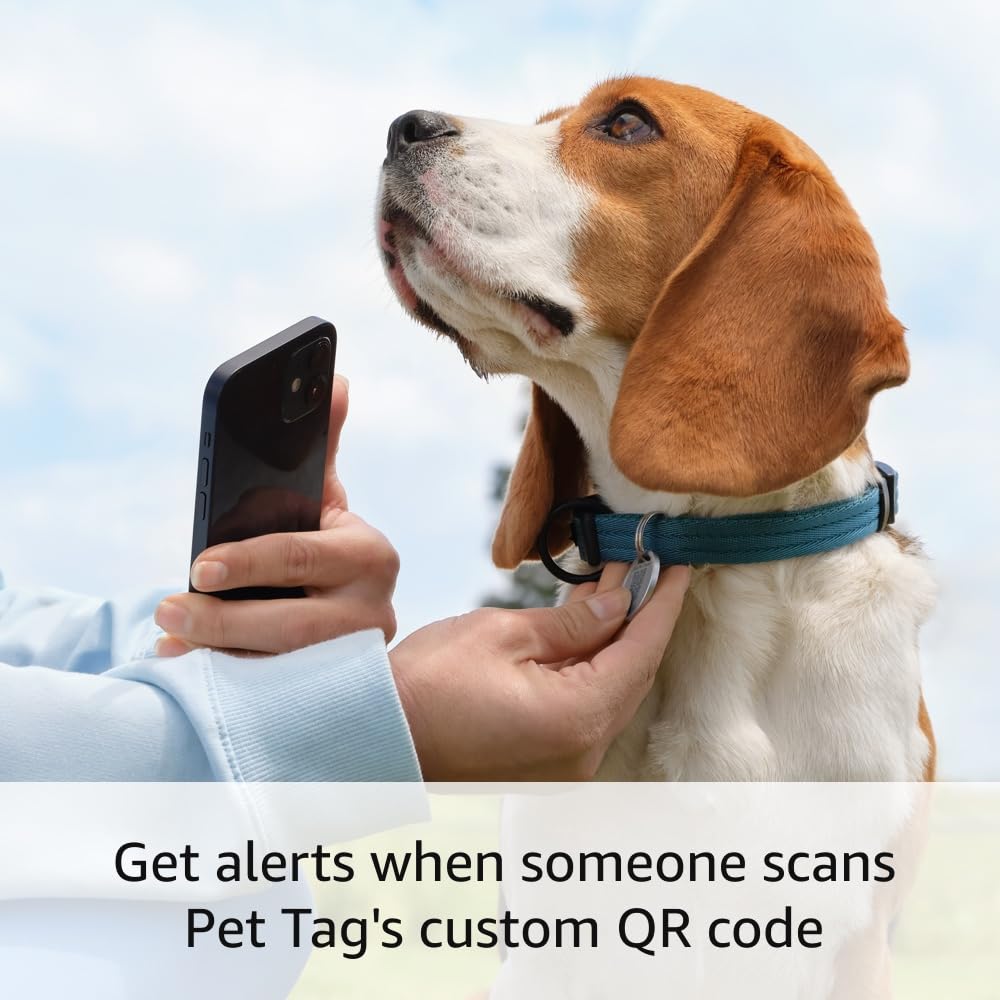 Ring Pet Tag with QR Code - Easy Setup, Real-Time Scan Alerts, Shareable Pet Profile, No Subscription or Fees