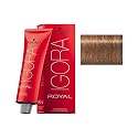 Schwarzkopf Igora Royal Permanent Hair Color - 7-65 Medium Auburn Gold Blonde
