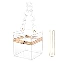 WJCD Cute Clear Acrylic Plastic Neon Hard Frame Party Clutch Purse with Gold Chain Strap (Transparent)
