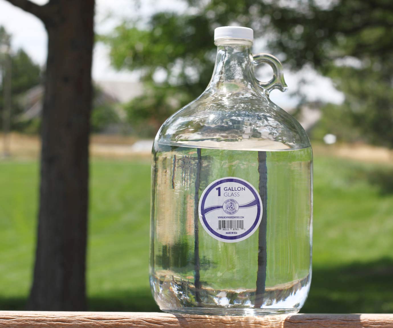 New Wave Enviro Products Glass Bottle, Clear, 1-Gallon