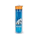 Avatar: The Last Airbender Aang and Appa Water Bottle | BPA-Free Plastic Bottle With Screw Top And Flip-Up Straw Lid | Sports Hydration | Holds 16