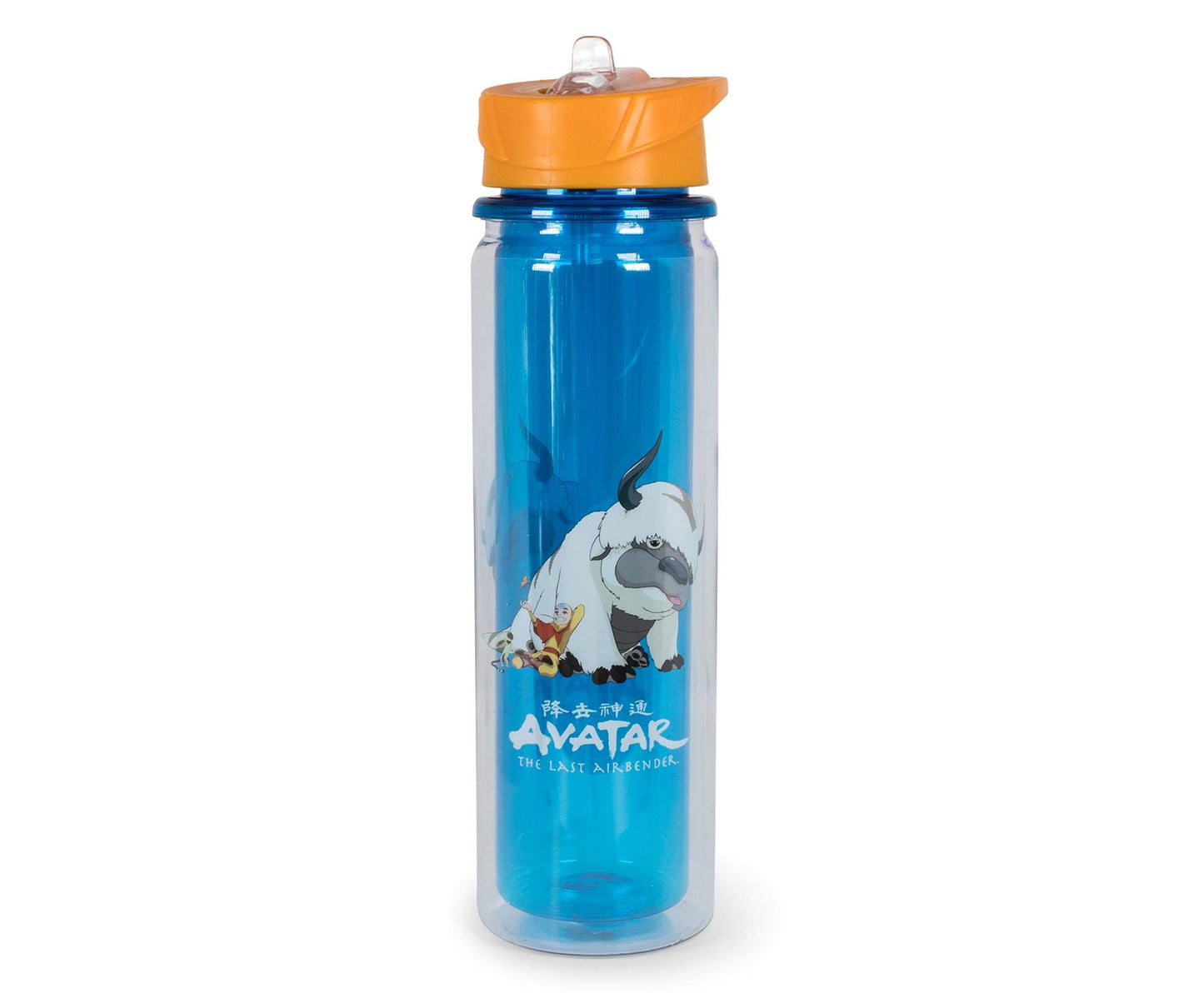 Avatar: The Last Airbender Aang and Appa Water Bottle | BPA-Free Plastic Bottle With Screw Top And Flip-Up Straw Lid | Sports Hydration | Holds 16