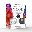 LeChat Perfect Match Mood Duo Set - Dream Chaser Beauty & Personal Care LECHAT