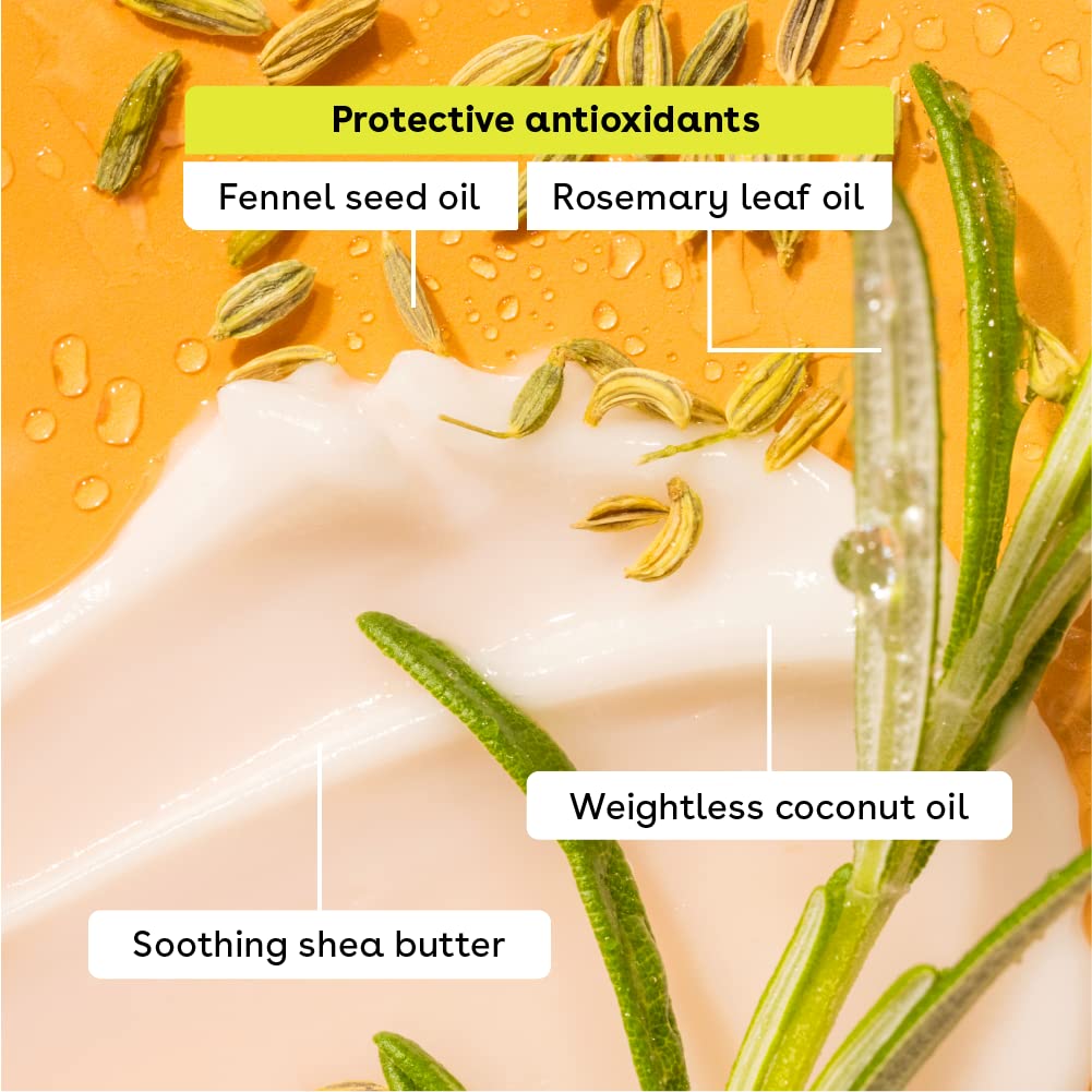 eos Natural Shea Lip Balm, Honey Apple & Mango Melonade, All-Day Moisture, Lip Care Products, 0.14 oz, 2-Pack