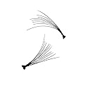 e.l.f. Essential Individual Lash Kit 1715 Black