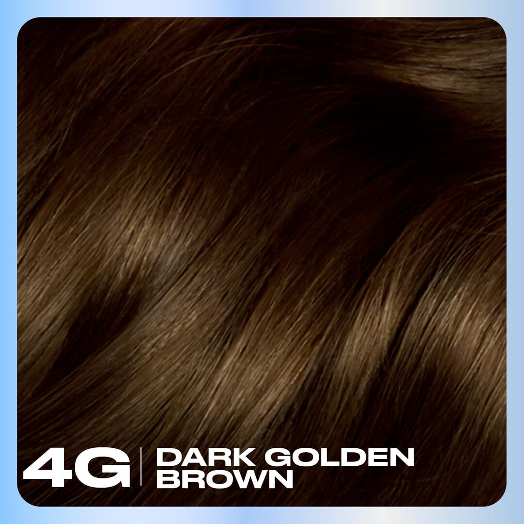 Clairol Nice'n Easy Permanent Hair Dye, 4G Dark Golden Brown | 100% Gray Coverage | Long?Lasting, Natural?Looking Color & Shine | Pack of 1